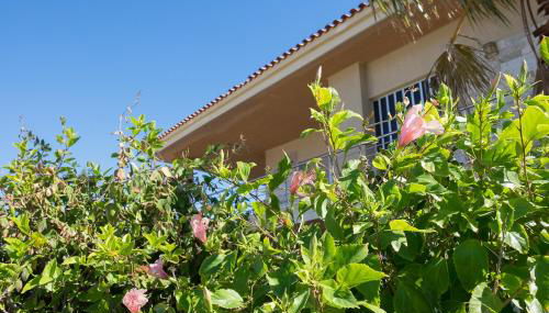 Sunset Beach House - Foto 4, Garden