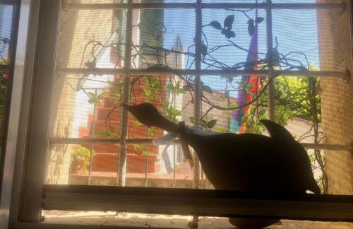 Ciglieri SantErmo Casciana Terme Lari PET&BIKE friendly FREE PARK - Foto 24