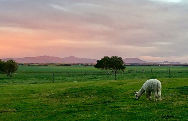 Promhills Cabins - Foto 1