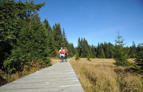 Tyrolska Zagroda - apartament 50m2 z własnym balkonem lub tarasem, blisko sklep, dobry dojazd, duży parking, PKP 15min, PKS 5min - Foto 32