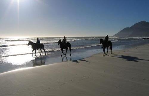 Appartamento Carino Splendido Trivano Panoramico IUN S3308 - Photo 39