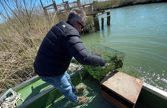 Agriturismo Tenuta Castel Venezze - Foto 53