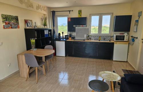 Villa Finiki Messinia upstairs - Photo 19