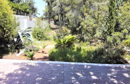 La Casa del bosque - Photo 28