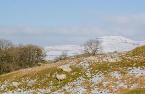 Croft Cottage - Foto 15