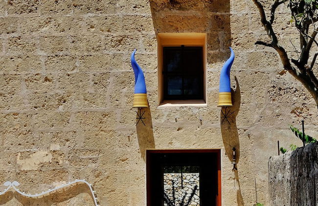 Biomasseria Muto - Foto 46