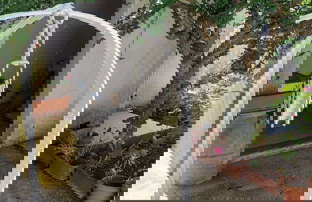 Guest House Salentojoy - Foto 10