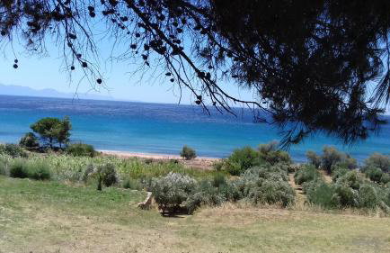 Margarita House - Photo 21