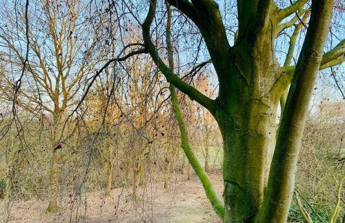 FUNCKyHOME Apartments - Foto 29