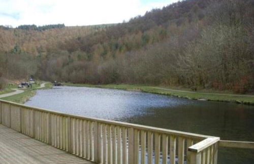 Garden Suburbs Cottage - Foto 15