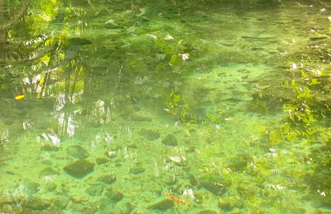 Cocal da Estação and Frecheiras Day Trip - Foto 1