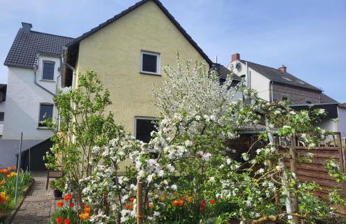 Ferienhaus ImObstgarten Diez - Foto 1