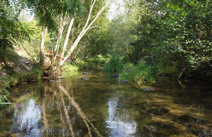 Domek w Górach Wilkanów Park - Foto 31