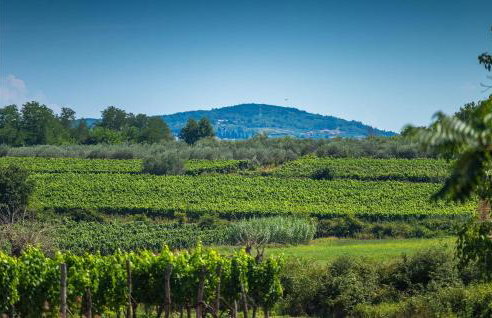 Villa Libra - Foto 45