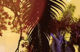 Casa Luna próximo ao Animália Park - Foto 28