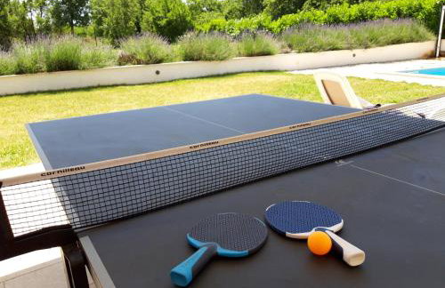 Villa Dora in Central Istria kids friendly with private pool and playground for 10 persons - Foto 23