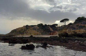 Jeannie's Oura Estrela - Foto 57