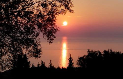 Ξενώνας "Alexandra's Coffee House" - Foto 65