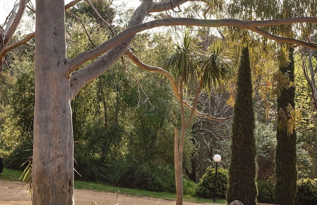 The Fender House in Mount Martha - Foto 27