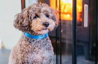 Chapel Bricks - Foto 12