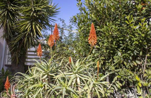 Salgari Uno - Foto 39