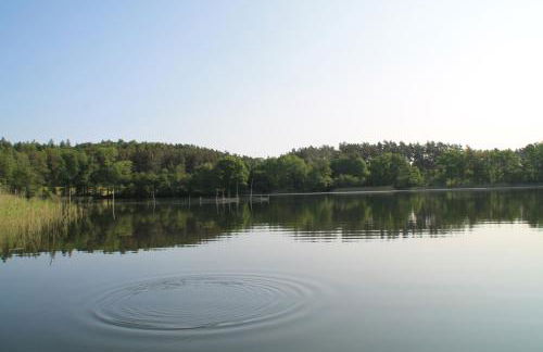 Alt Sammit - Foto 16