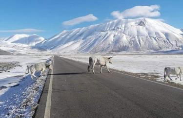 Grove Cottage: Immersed in nature & close to town - Photo 56