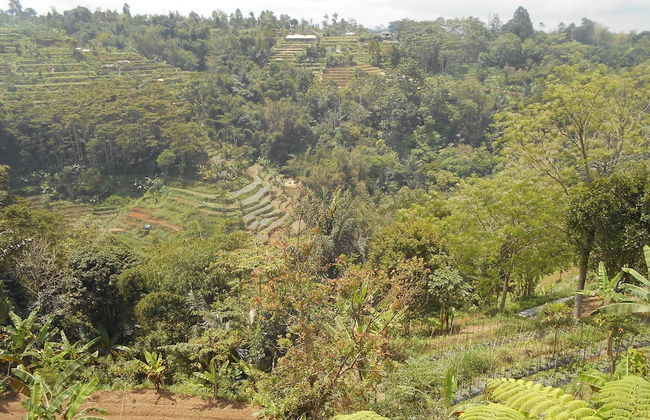 Shangrilah Villas - Foto 42