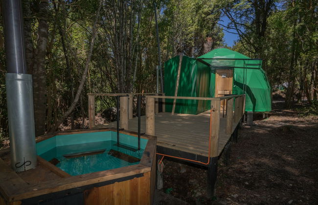 Cabañas Ensenada Bosque Nativo - Foto 9