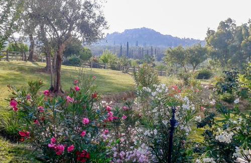 Aroggia Farm - Foto 71