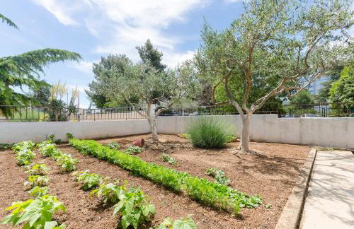 Apartment Fila - Photo 16