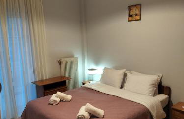 Άνετο διαμέρισμα στο κέντρο της πόλης - Foto 1