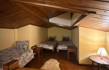 Horizon Nest Parnassos Villa Chalet! - Foto 54