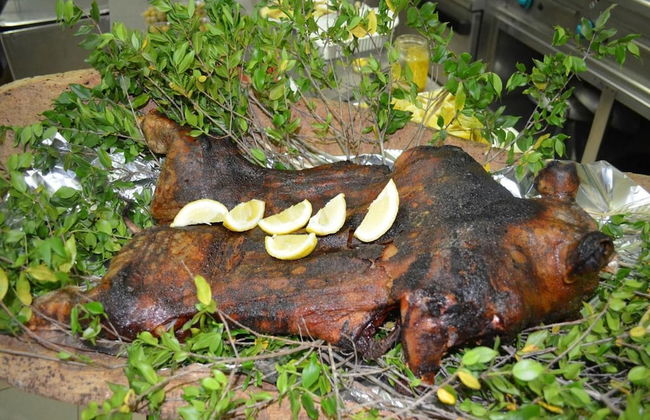 Agriturismo Agrifoglio - Foto 46