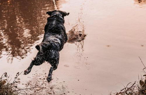 Ferienwohnung Schwabenhof - Foto 19