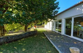 Time to Travel to Terceira - Photo 8