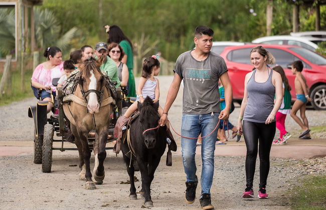 Hotel Fazenda Dona Francisca - Foto 49