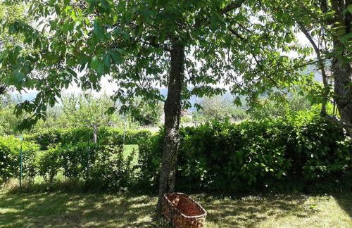 Peaceful Stay With Garden - Foto 49