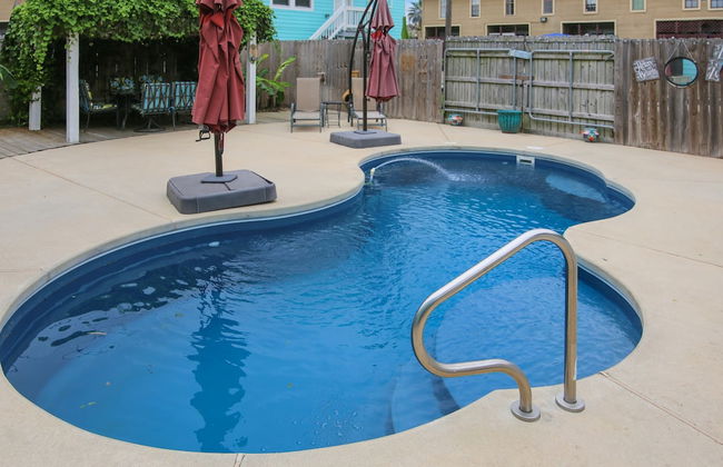 The Turquoise Turtle - Foto 19