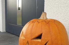 Słowińskie Widoki domki Flora, Fauna, noclegi Smołdziński Las - Foto 58