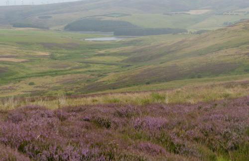 Relax in a 1 Bedroom Apartment near a country Pub - Foto 32