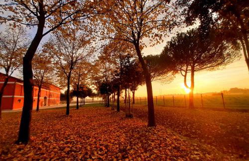 Agriturismo Fondo Gioconda - Foto 7