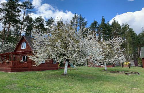 Gryfne Kaszuby - Foto 39