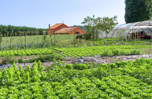 Casa Monterriundo I y Apartamento Monterriundo II - Foto 12