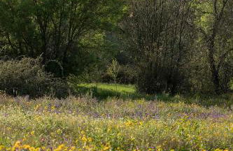 SAQA Organic Farm - Foto 41