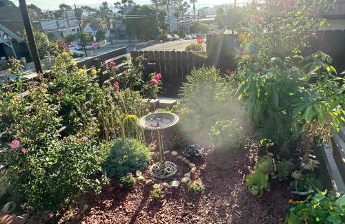 Guest House next to Little Italy - Foto 18