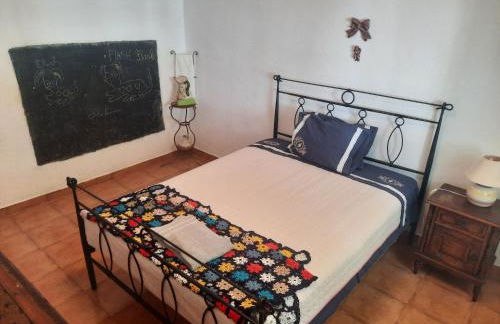 Casa Zé Actor - Foto 9