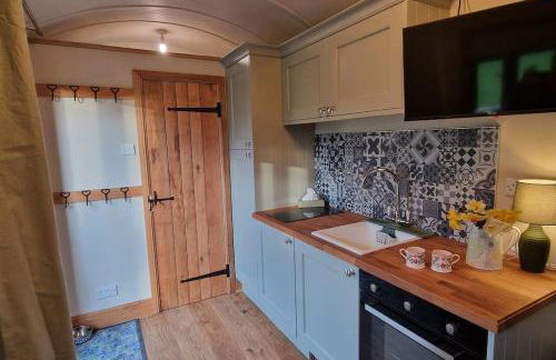 Cosy Owl - Shepherds Hut - Foto 8