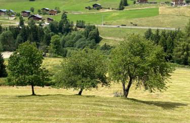 Les Georgières, 300m des pistes du Mont-Rond - Foto 24