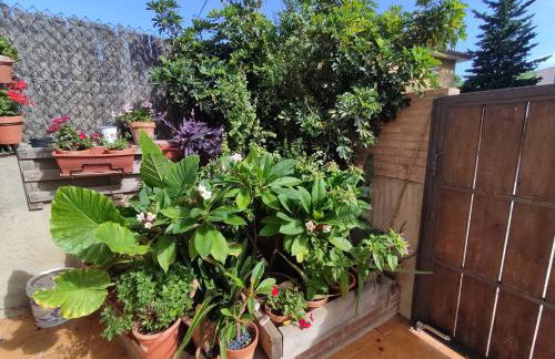 RÚSTIC AMB PISCINA PRIVADA - Foto 20